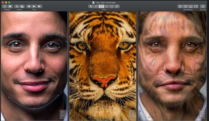 9 Best Photo Morph Tools in 2026 (Apps and Software Reviewed)