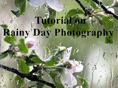 Tutorial On Rainy Day Photography